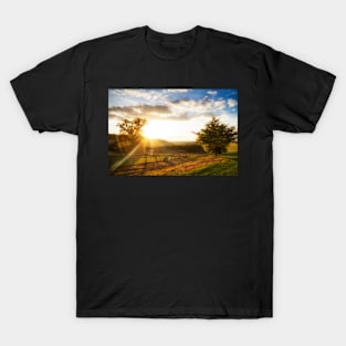 Italian Spinone in the Sunset T-Shirt